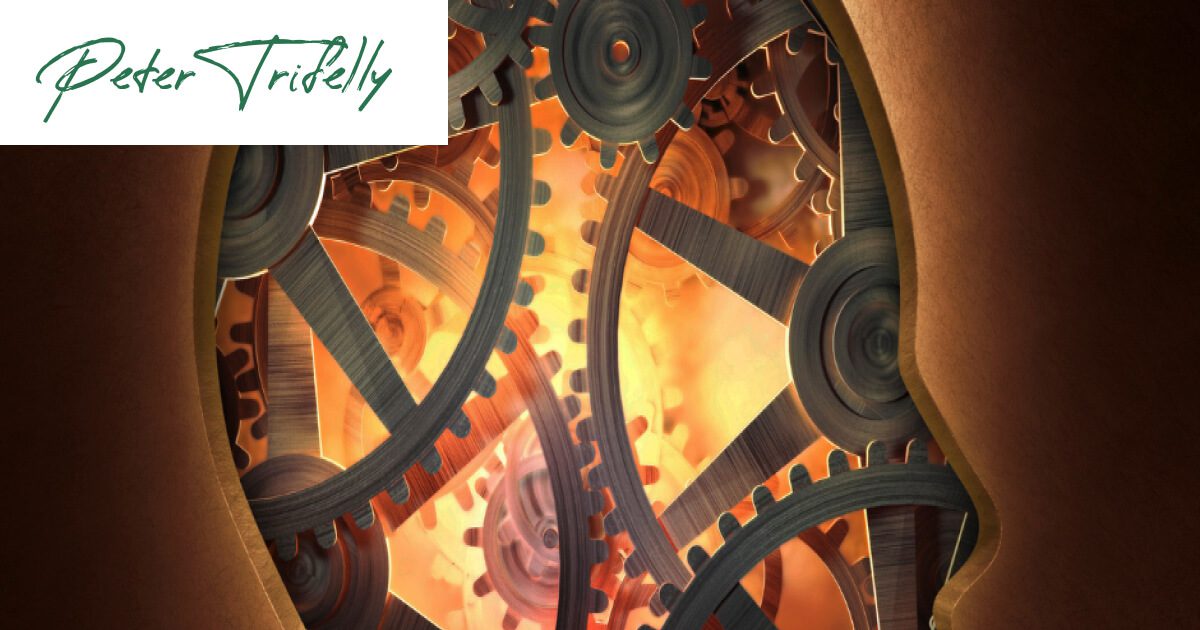 Digital illustration of gears inside a human head. Enhance your business with the power of intellect at Peter Trifelly Certified Business Coach